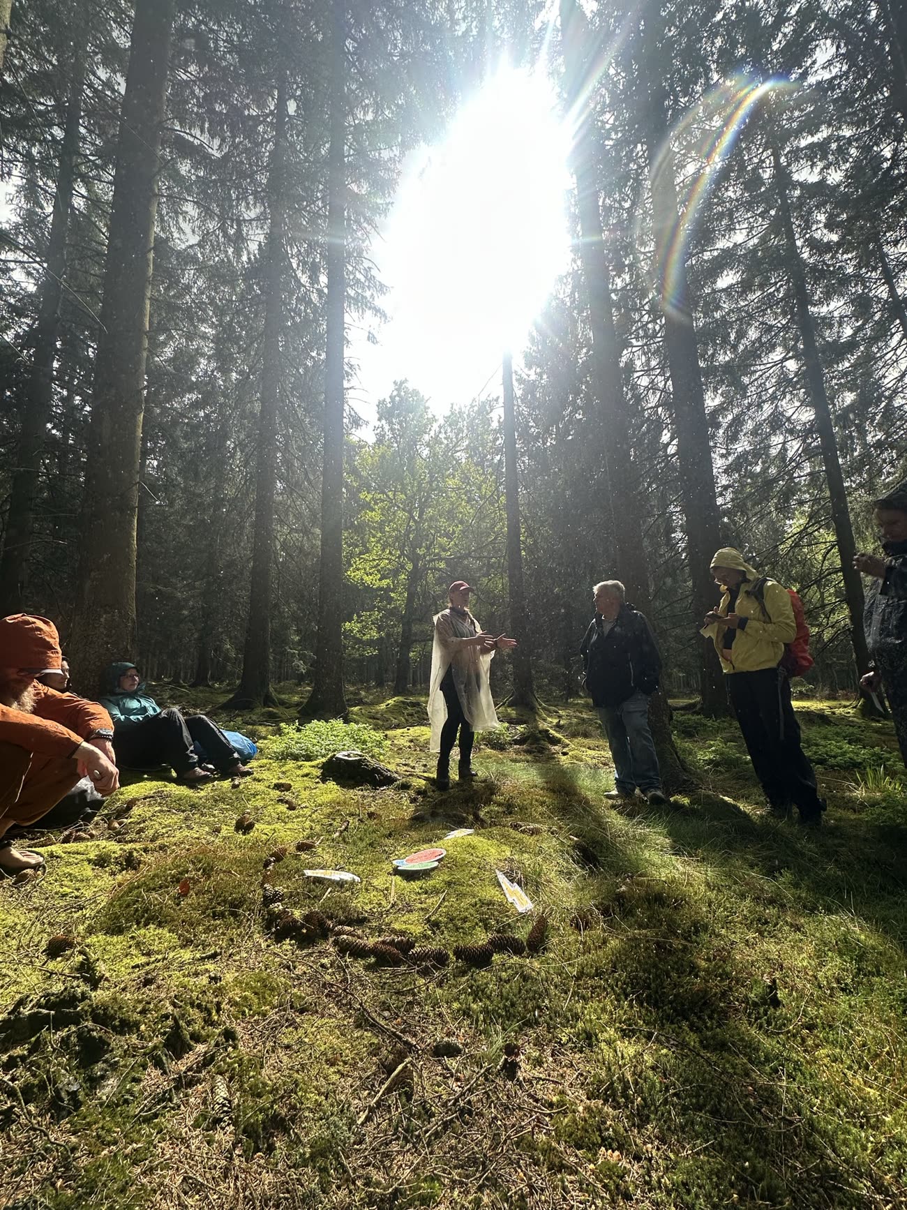 Eine Gruppe steht im Gegenlicht zwischen hohen Bäumen.