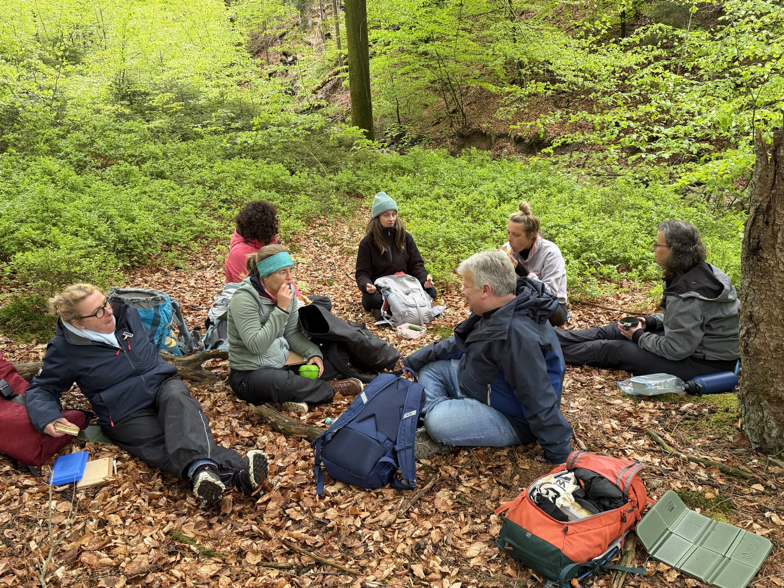 Eine Gruppe sitzt während einer gemeinsamen Pause im Wald.